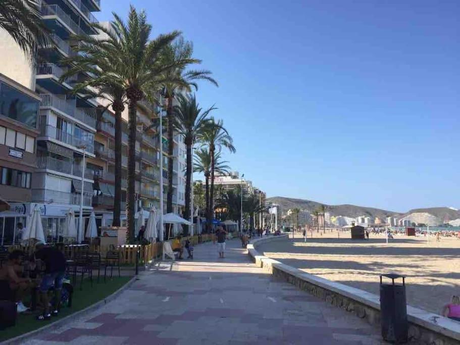 New Stylish Beach Front Apartment Cullera Εξωτερικό φωτογραφία