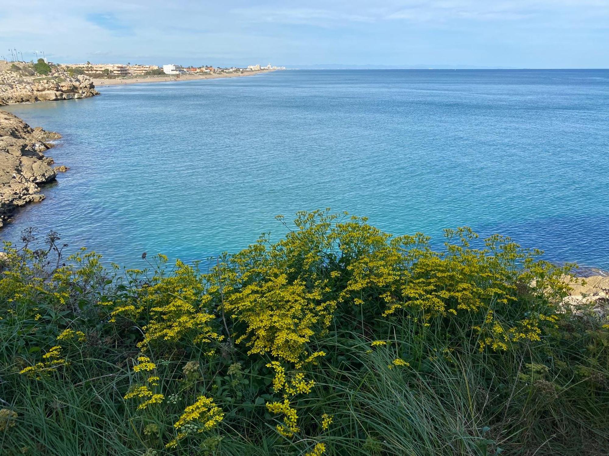 New Stylish Beach Front Apartment Cullera Εξωτερικό φωτογραφία